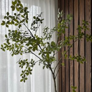 Indoor plant with green leaves by a wooden panel wall